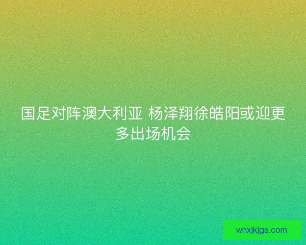 国足对阵澳大利亚 杨泽翔徐皓阳或迎更多出场机会