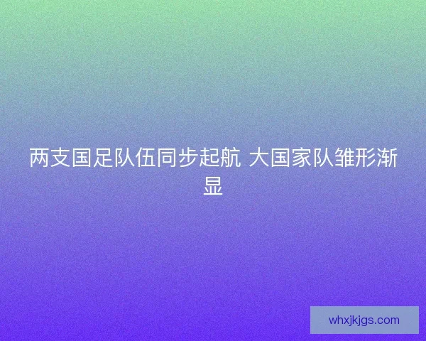 两支国足队伍同步起航 大国家队雏形渐显