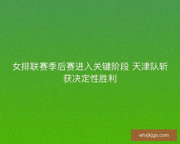 女排联赛季后赛进入关键阶段 天津队斩获决定性胜利