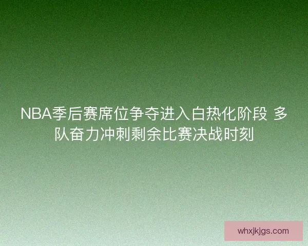 NBA季后赛席位争夺进入白热化阶段 多队奋力冲刺剩余比赛决战时刻 NBA季后赛席位争夺进入白热化阶段 多队奋力冲刺剩余比赛决战时刻