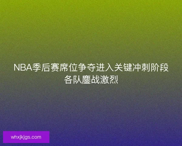NBA季后赛席位争夺进入关键冲刺阶段各队鏖战激烈